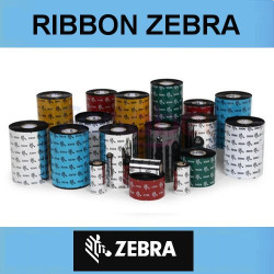 Ribbon Zebra